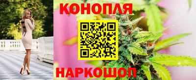 альфа пвп Заводоуковск